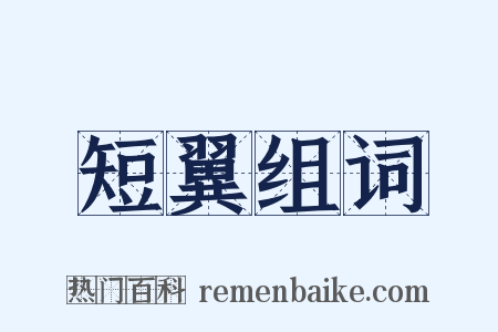 短翼组词是什么意思的图片